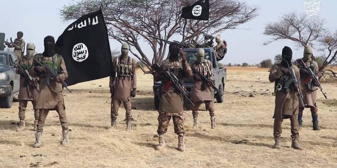 BLOOD ON THE BORDER: Boko Haram SLAUGHTERS NINE IN ADAMAWA NIGHT RAID ...