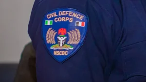 33 ILLEGAL MINING SUSPECTS DIE IN NSCDC CUSTODY: INTERIOR MINISTER SUSPENDS NIGER COMMANDANT, DEMANDS ANSWERS OVER MYSTERIOUS DEATHS