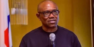 2027 ELECTIONS: PETER OBI TELLS NIGERIANS IN UK TO STOP SENDING MONEY HOME, URGES RELATIVES TO REJECT FINANCIAL BEGGING UNTIL CORRUPT LEADERS ARE REPLACED; REMARKS TRIGGER FIERCE BACKLASH, ACCUSATIONS OF POLITICAL DESPERATION